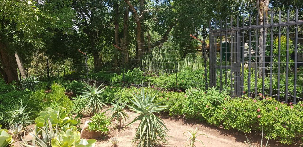 A Farm Stay - Casablanca'S Private Cottage,No Loadshedding! Hazyview Eksteriør billede